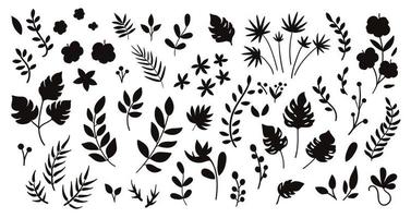 Vektor tropische Blumen Blätter und Zweige Silhouetten. dschungellaub und schwarze blumenillustration. hand gezeichnete flache exotische pflanzen lokalisiert auf weißem hintergrund. Sommergrünschatten für Kinder.