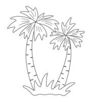 vektor palm kontur. rolig tropisk exotisk växt svartvit illustration. rolig målarbok för barn. djungel sommar clipart