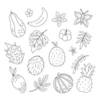 Vektor tropische Früchte, Blumen und Blätter Umrisse. dschungellaub und blumen schwarz-weiß-illustration. hand gezeichnete flache exotische pflanzen lokalisiert auf weißem hintergrund. sommerliches grünes Design
