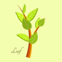 grünes Blatt 3D-Relaistic-Symbole Öko-Umwelt oder Bio-Ökologie-Vektorsymbole. Komposition aus stilisierten 3D-Blättern