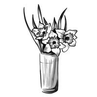 Vase mit Blumen. Narzisse Narzisse Blumentopf. isolierte frühlingsstraußumrisse. Schwarz-Weiß-Vektor-Illustration. vektor