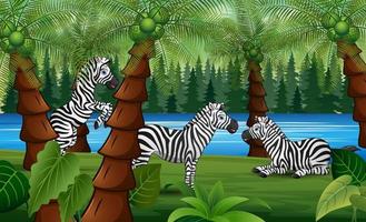 palmdjungellandskap med tecknade zebror som njuter av naturen vektor