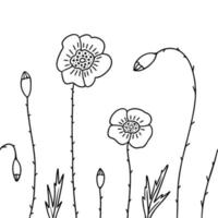 Feldmohn, nahtloses Blumenmuster. Illustration für Druck, Hintergründe, Umschläge, Verpackungen, Grußkarten, Poster, Aufkleber, Textil- und Saisondesign. isoliert auf weißem Hintergrund. vektor