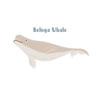 Vektor Beluga-Wal. Karikaturillustration auf weißem Hintergrund für Aufkleber, Design