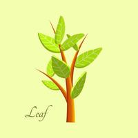 grünes Blatt 3D-Symbole Öko-Umwelt oder Bio-Ökologie-Vektorsymbole. Zusammensetzung von stilisierten 3D-Blättern vektor