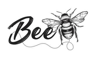 Bienenvektor und schwarze Bienenbeschriftung auf weißem Hintergrund.