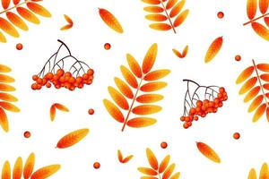 Herbst Musterdesign, Orangenblätter und helle Vogelbeeren auf weißem Hintergrund. Esche. perfekt für Tapeten, Geschenkpapier, Vorlagenfüllung, Webseiten, Herbstgrußkarten vektor