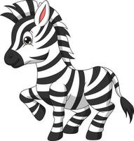 söt zebra tecknad på vit bakgrund