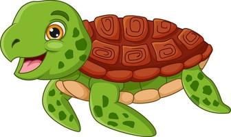 tecknad sköldpadda på vit bakgrund vektor