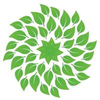 Gruppe sich ausbreitender Blätter abstraktes Design auf weißem Hintergrund, wirbelnde grüne Blätter, grüne Blatttexturvorlage in Vektor, Illustration vektor