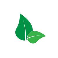 en gröna blad ikon, symbol, logotyp, banner design. gröna blad begreppet vårsäsong. vektor och illustration