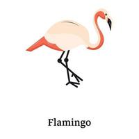 Ein flaches Flamingo-Symbol ist einsatzbereit vektor