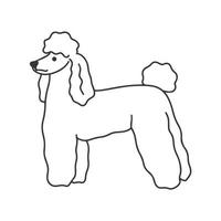 pudel hund står doodle stil vektorillustration vektor