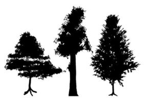 Sammlung von drei Baumsilhouetten vektor