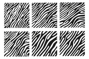 schwarze Streifen auf der Haut eines Zebras für Dekorationsgrafiken vektor