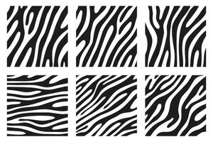 svarta ränder på huden på en zebra för dekorationsgrafik vektor