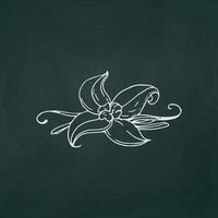 Vanille Blume dünne weiße Linien auf einem strukturierten dunklen Hintergrund - Vektor