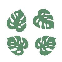 Vektor mit vier grünen Monstera-Blättern