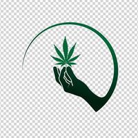 hand med marijuana blad vektor