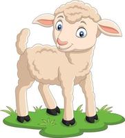 Cartoon glückliches Lamm auf dem Rasen