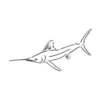 Marlin-Fisch-Vektorskizze vektor