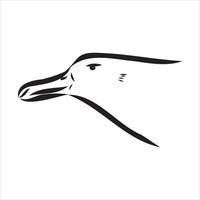 albatross vektor skiss
