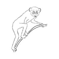 lemur lori vektor skiss