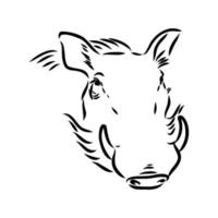 Warzenschwein-Vektorskizze vektor