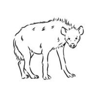 Hyäne-Vektorskizze vektor