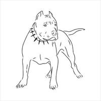 Pitbull-Terrier-Vektorskizze vektor