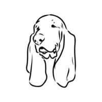 basset hound vektor skiss