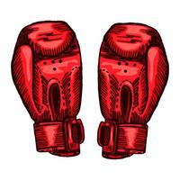 rote Boxhandschuhe skizzieren in isoliertem weißem Hintergrund. vintage sportgeräte für kickboxen im gravierten stil. vektor