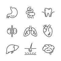 Organe Symbole gesetzt. anatomie flache linie mensch magen gehirn herz zahn lunge leber nieren haar. umrisspiktogramme für die medizinische klinik. Vektorgrafiken auf weißem Hintergrund vektor