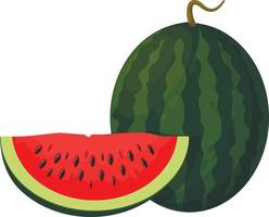 sommerfrüchte für einen gesunden lebensstil. Wassermelone, ganze Frucht und Scheibe. vektorillustrationskarikaturikone lokalisiert auf weiß. vektor