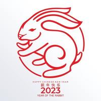 gott kinesiskt nytt år 2023 gong xi fa cai år av kanin, harar, kanin stjärntecken med blomma, lykta, asiatiska element guldpapper skär stil på färgbakgrund. vektor