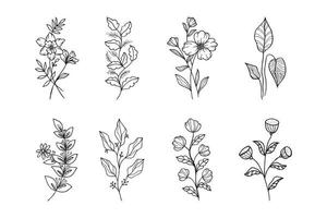 handgezeichnete florale Vektordesign-Elemente vektor