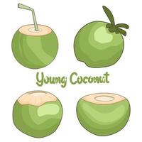 ung kokosnöt set med halm illustration vektor