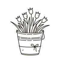 Eimer mit Tulpen isoliert auf weißem Hintergrund. handgezeichnete Vektorgrafik im Doodle-Stil. Perfekt für Urlaubsdesigns, Karten, Logos, Dekorationen. süßer Blumenstrauß. vektor