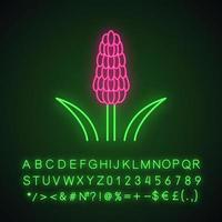 glödhet poker växt neon ljus ikon. tritoma. kniphofia blomma. fackla lilja. exotisk flora. muscari. glödande tecken med alfabet, siffror och symboler. vektor isolerade illustration