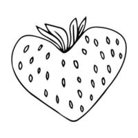 Erdbeer Hand gezeichneten Umriss Doodle-Symbol. Vektorskizzenzeichnung gesunder Beeren - frische rohe Erdbeeren für Print, Web, Handy und Infografiken isoliert auf weißem Hintergrund. vektor