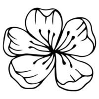 skiss av vårblommor av kvitten, mandel, äppelträdsgrenar med knoppar och blommor. handrita botaniska doodle vektorillustration i svart kontrast med vit fyllning. vektor