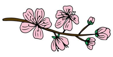 Sakura-Blume-Doodle-Symbol. Rückenlinie isoliert auf weiß. eine linie kontur blumenzeichnung. vektorillustration vektor