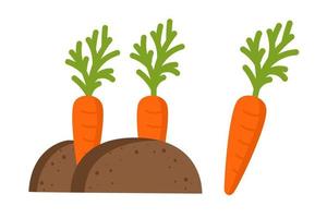 Karotten-Gartenarbeit-Landwirtschafts-Vektorillustration lokalisiert auf weißem Hintergrund vektor