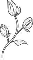 Strichzeichnungsblume für Hochzeitseinladung mit ästhetischem Design vektor