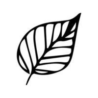 enkel blad illustration isolerad på vit bakgrund. handritad vektor clipart. botanisk doodle för tryck, webb, design, dekor, logotyp.