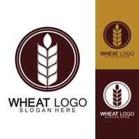 Landwirtschaft Weizen Logo Vorlage Vektor Icon Design