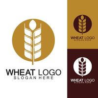 Landwirtschaft Weizen Logo Vorlage Vektor Icon Design