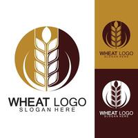 Landwirtschaft Weizen Logo Vorlage Vektor Icon Design