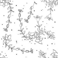 fyrkantigt sömlöst mönster med crassula perforata suckulent. blommig enkel bakgrund för textil, brevpapper, omslagspapper, omslag. doodle vektorillustration för inredning och design. vektor