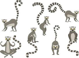 Reihe von Vektorillustrationen von gehenden und sitzenden Lemuren isoliert auf weißem Hintergrund vektor